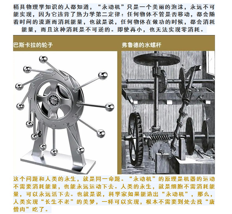 琨能將星譜：“永動(dòng)機(jī)”謝彩霞